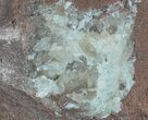 Metallic, Radiating Pyrolusite Cystals - Morocco #61129-2